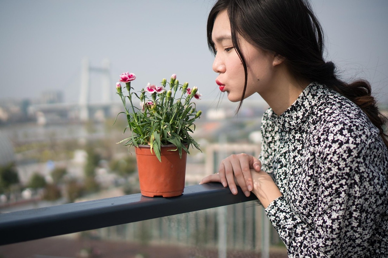 杉原杏离最新写真，探索新生代女演员杉原杏离的魅力之旅