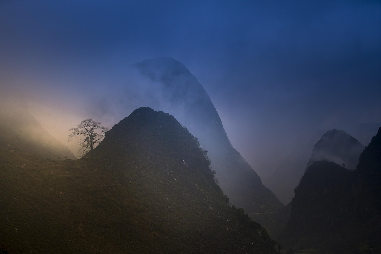 嘴炮康纳·麦格雷戈的最新动态概览